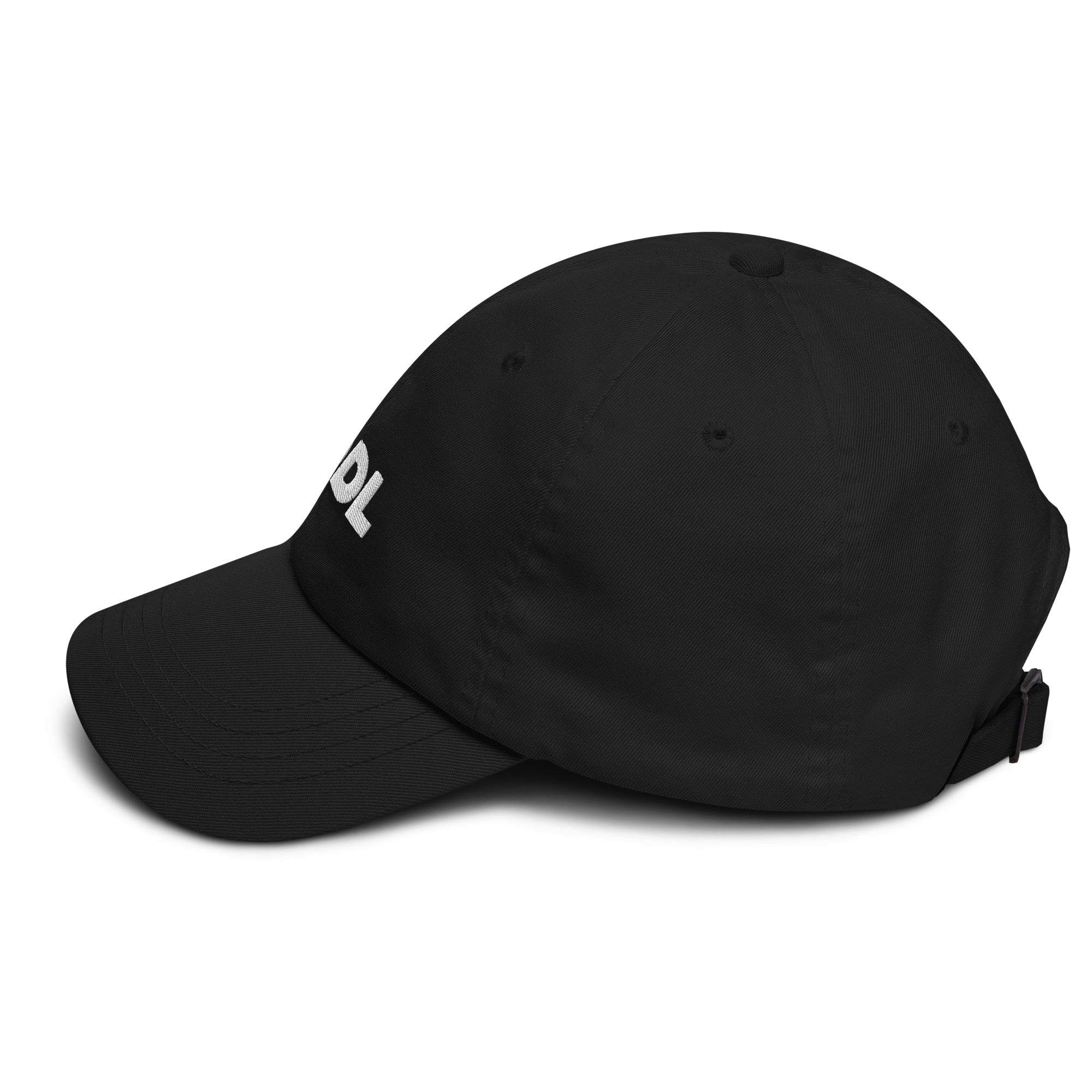 HODL Dad hat
