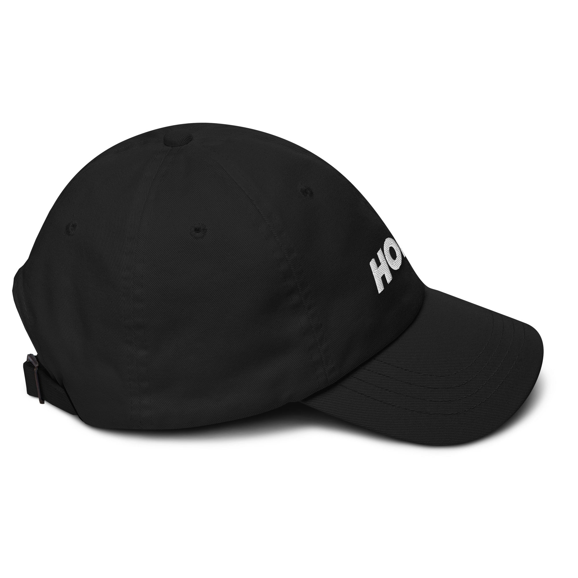 HODL Dad hat