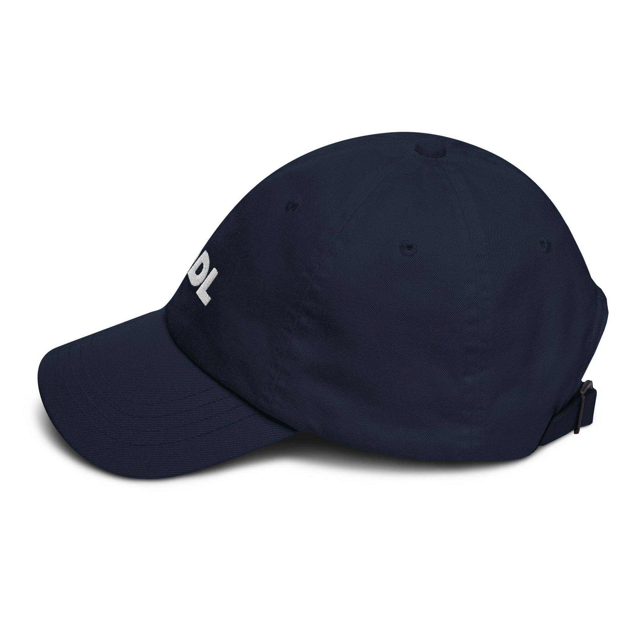 HODL Dad hat