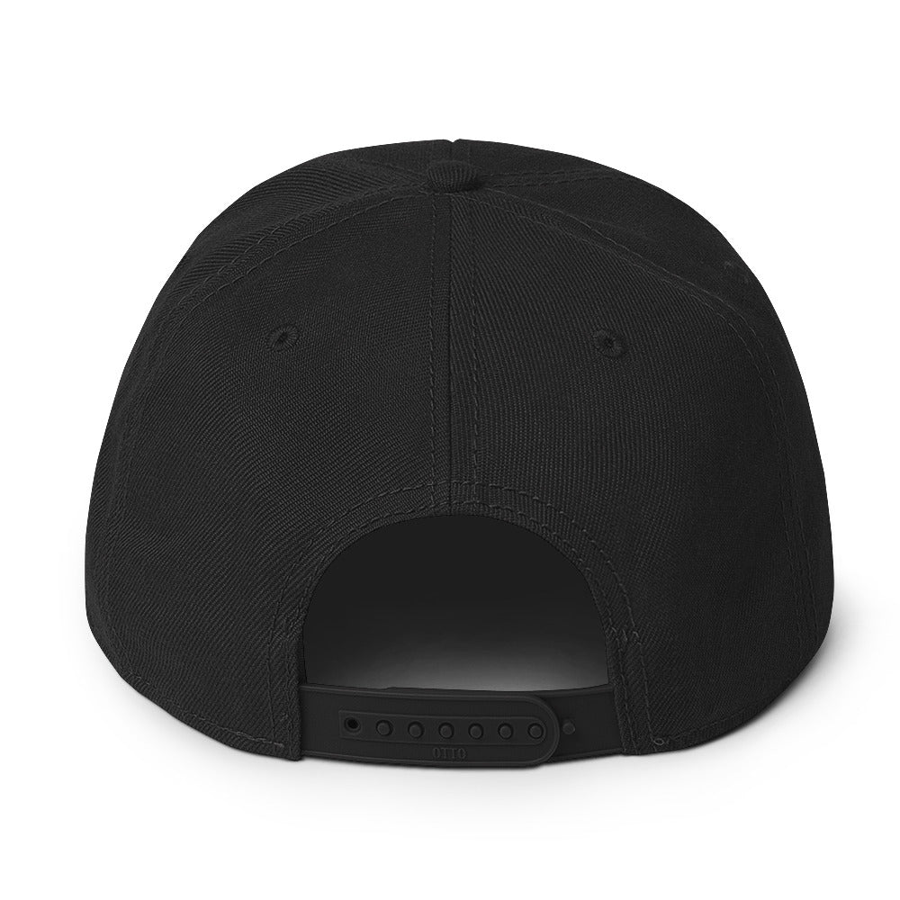 HODL Snapback Hat