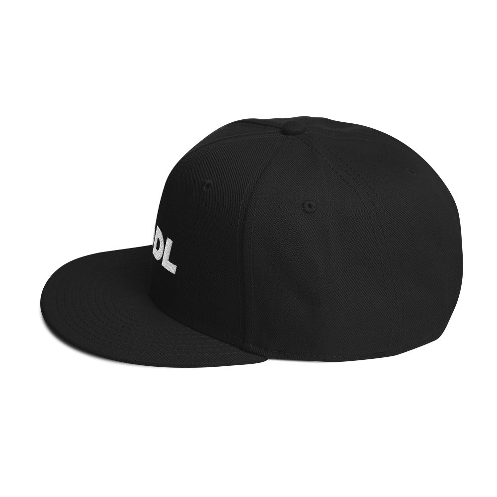 HODL Snapback Hat